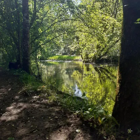 D'hote Woody Chef-Boutonne